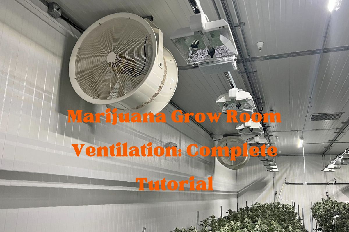 Marijuana Grow Room Ventilation